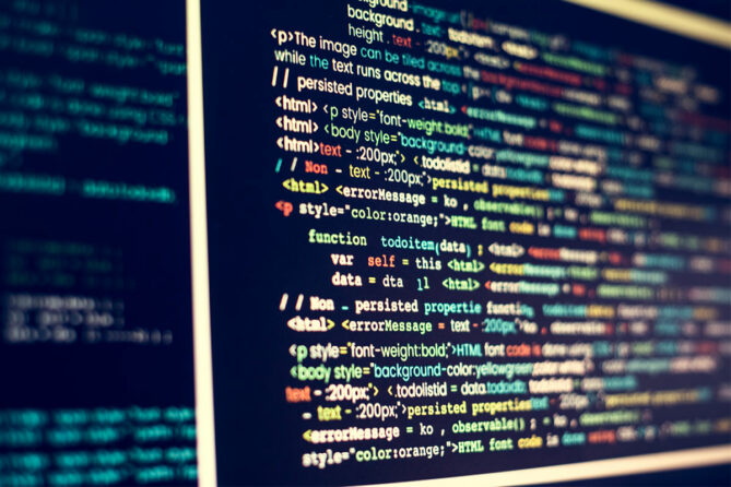 Software Developer